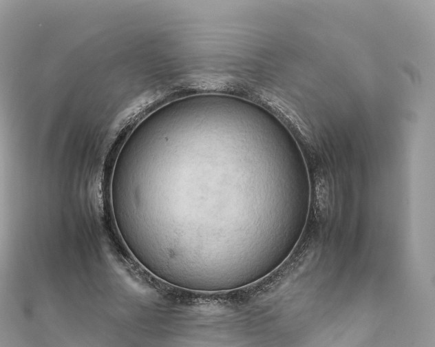 X0000111860682200907301131