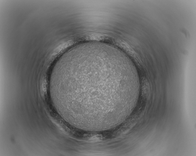 X0000111860683200907301131