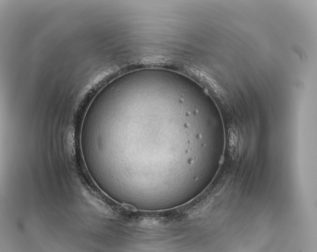 X0000111860684200907301131