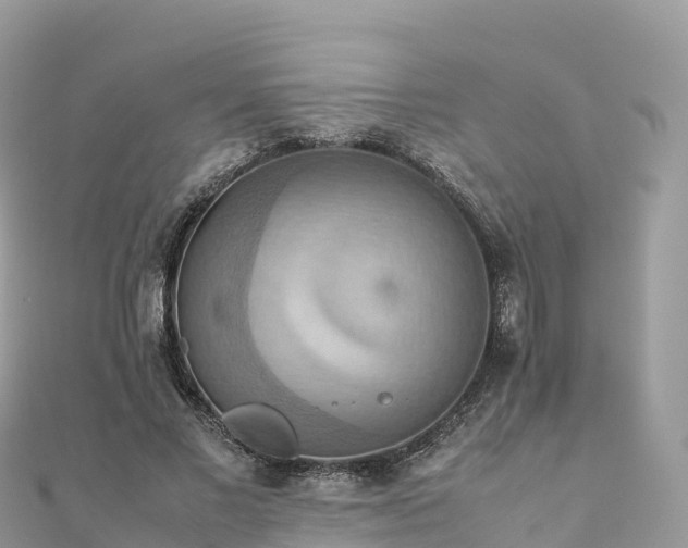 X0000111860685200907301131