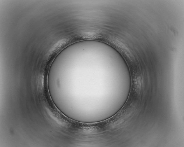 X0000111860686200907301131