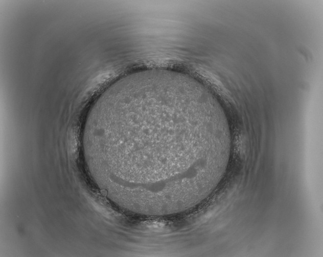 X0000111860687200907301131