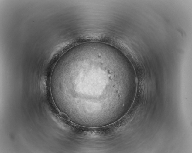 X0000111860688200907301131