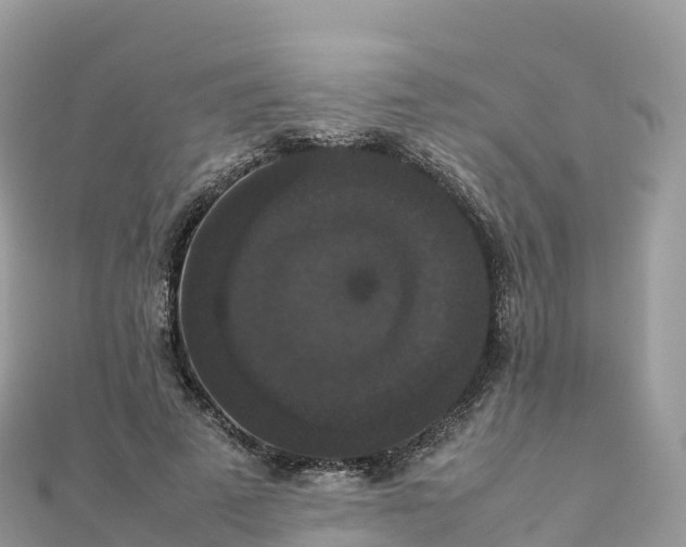 X0000111860689200907301131