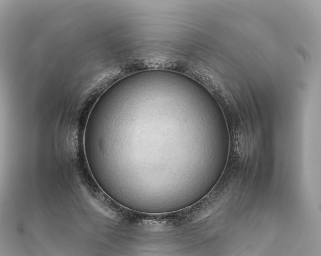 X0000111860690200907301131