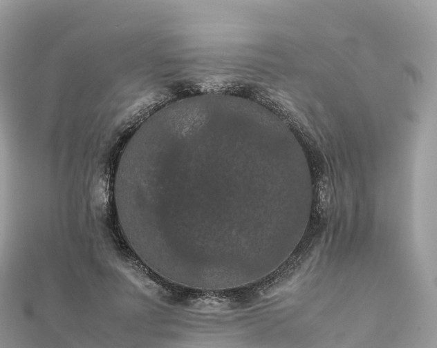 X0000111860691200907301131