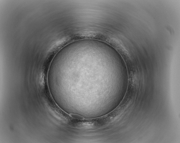 X0000111860692200907301131