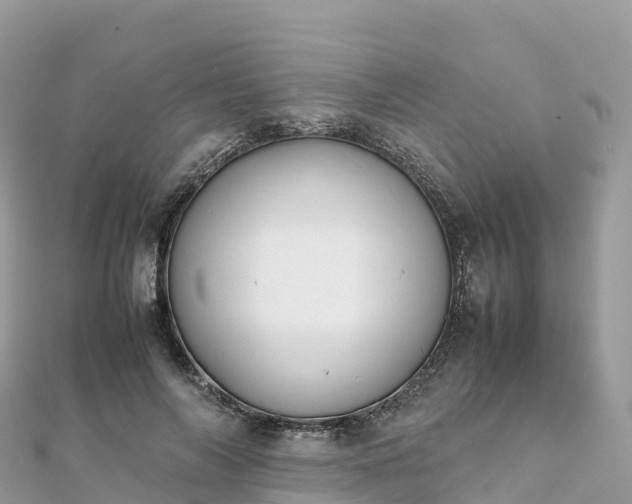 X0000111860694200907301131