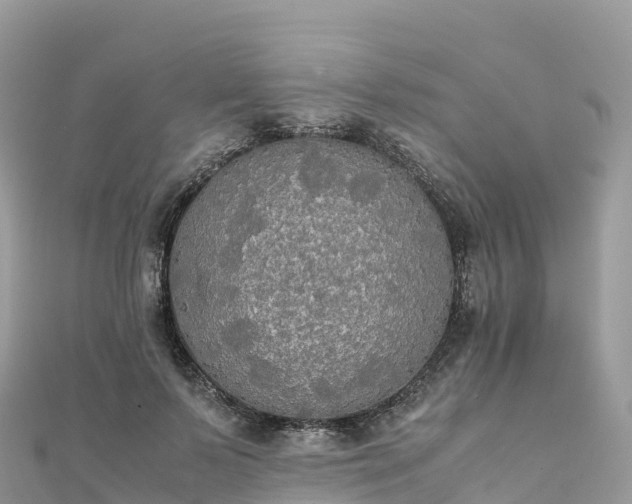 X0000111860695200907301131