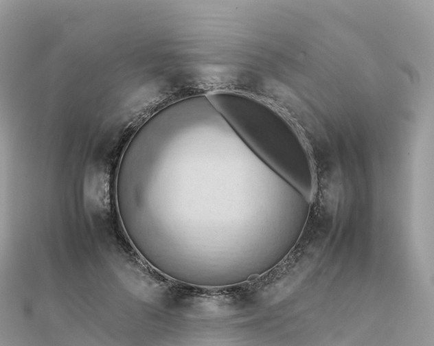 X0000111860696200907301131