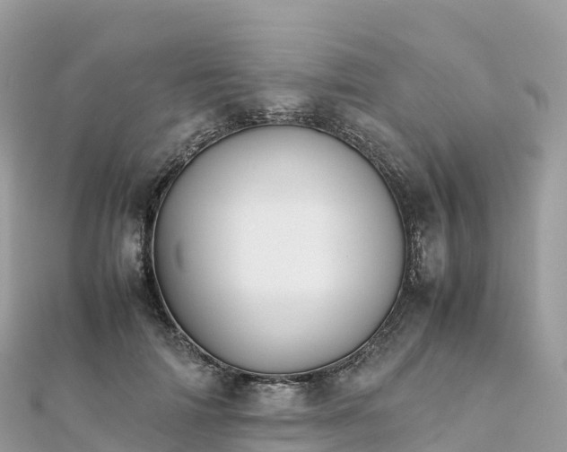 X0000111860698200907301131