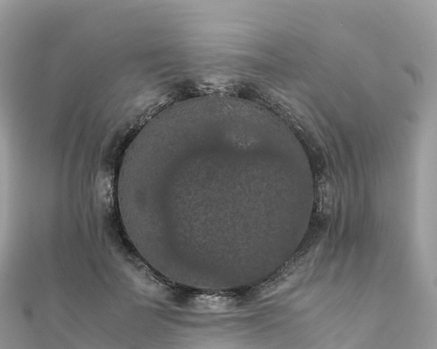 X0000111860699200907301131