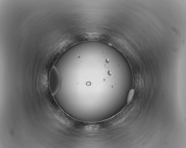 X0000111860700200907301131