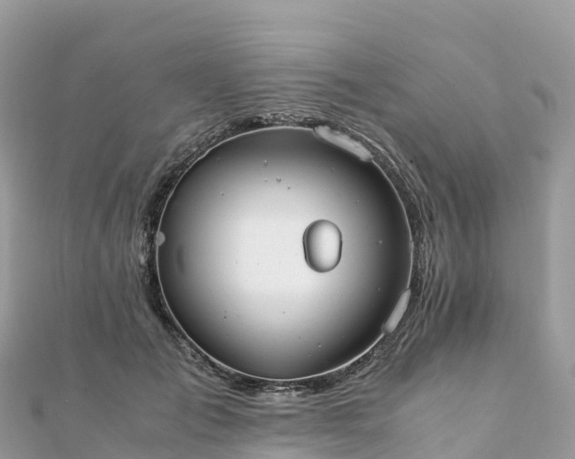 X0000111860701200907301131