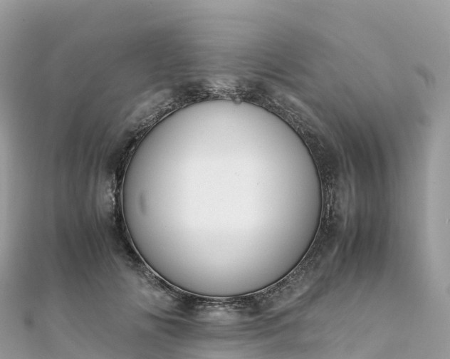 X0000111860702200907301131