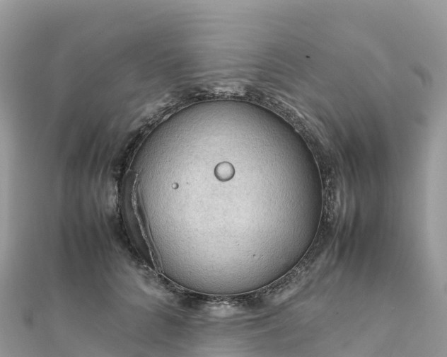 X0000111860704200907301131