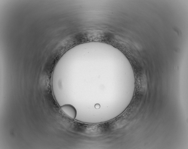 X0000111860705200907301131