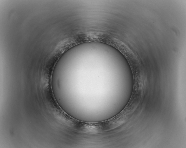 X0000111860706200907301131