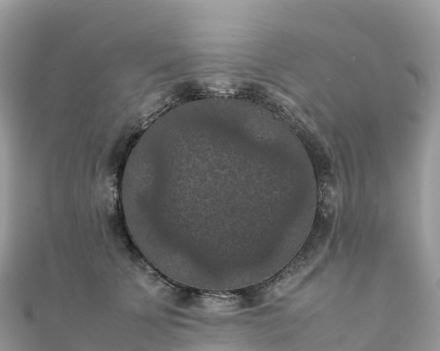 X0000111860707200907301131