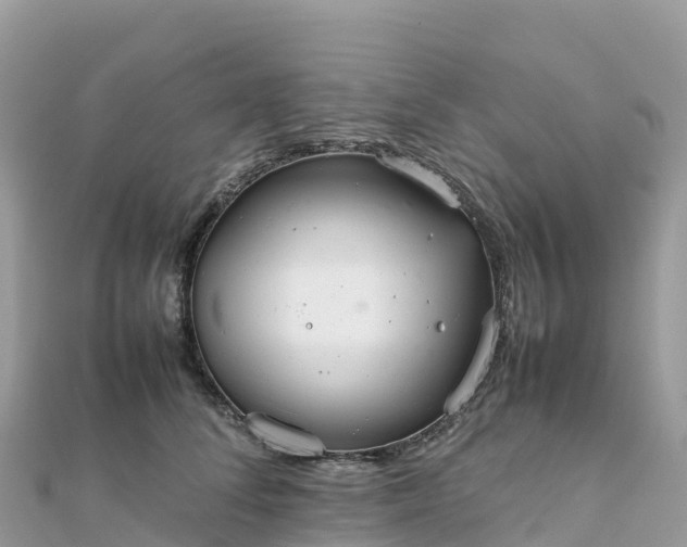 X0000111860708200907301131