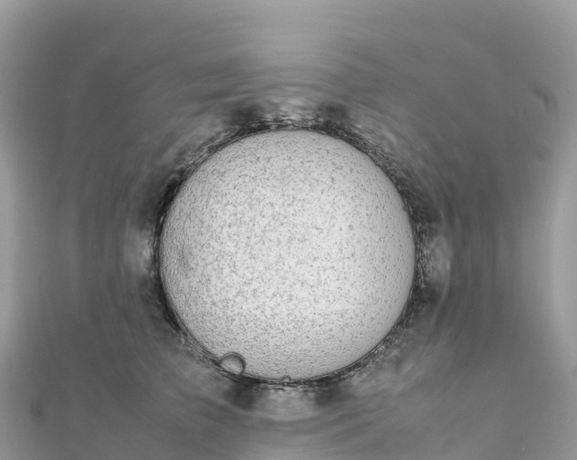 X0000111860709200907301131