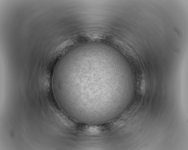 X0000111860710200907301131