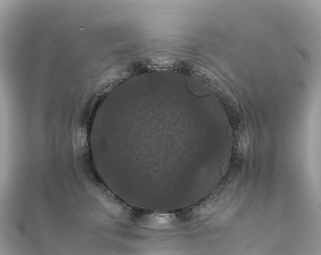 X0000111860711200907301131