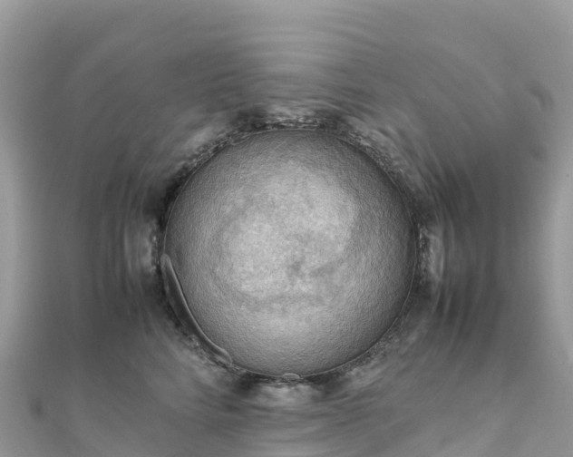 X0000111860712200907301131