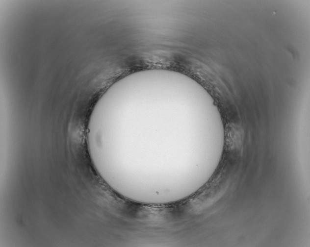 X0000111860713200907301131