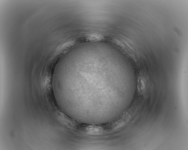 X0000111860714200907301131