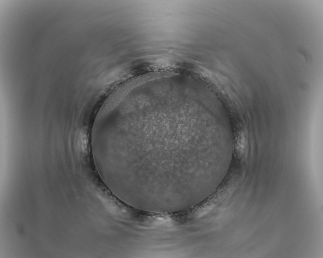 X0000111860715200907301131