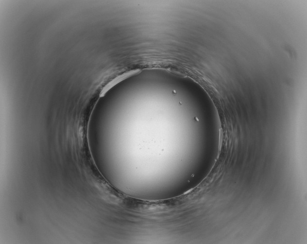 X0000111860716200907301131