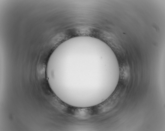 X0000111860717200907301131