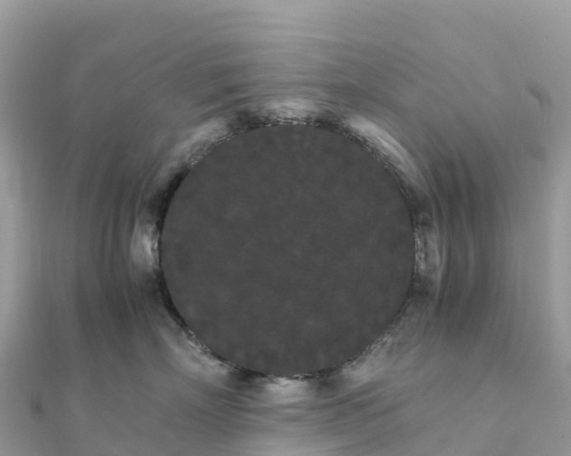 X0000111860718200907301131