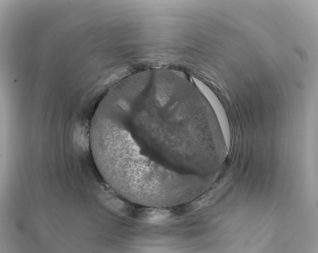 X0000111860719200907301131