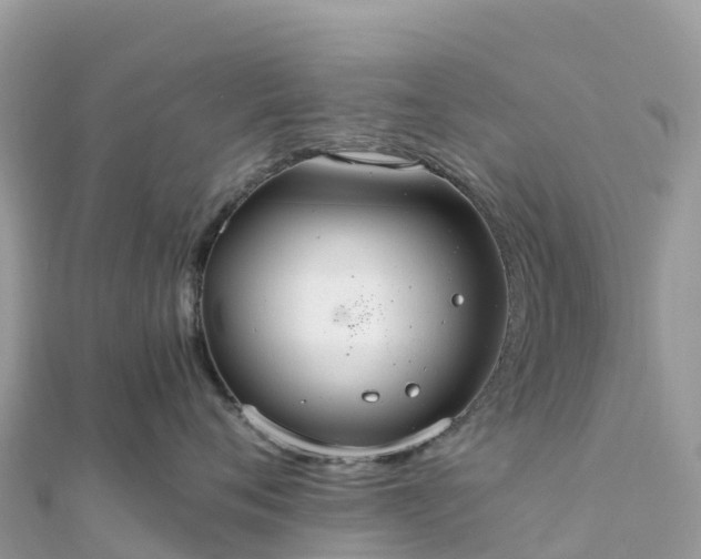 X0000111860720200907301131