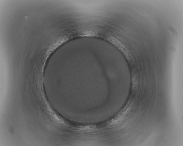 X0000111860721200907301130