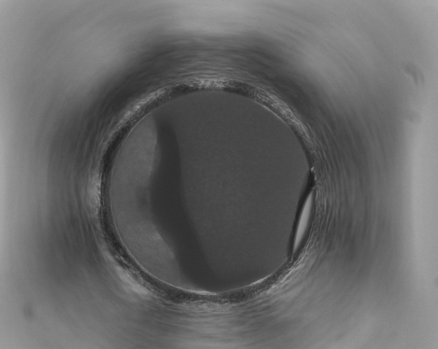 X0000111860722200907301130