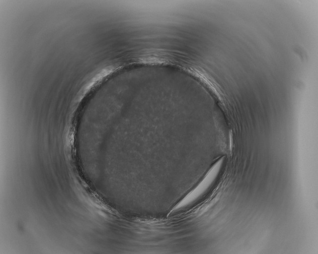 X0000111860723200907301130