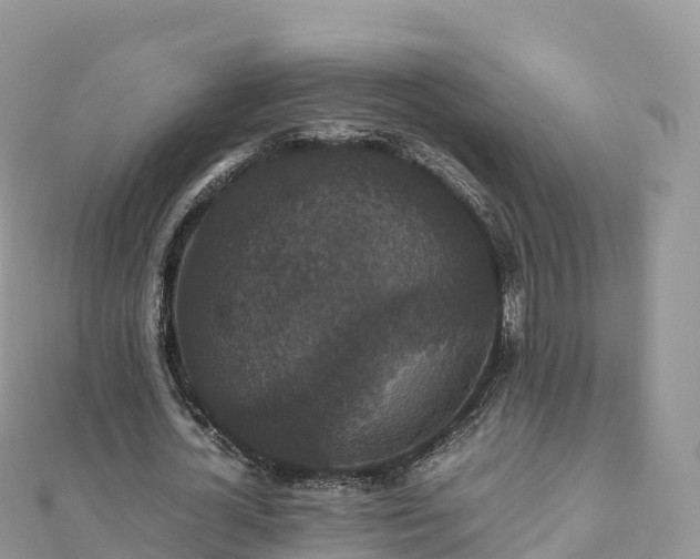 X0000111860724200907301130