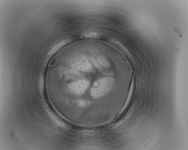 X0000111860725200907301130