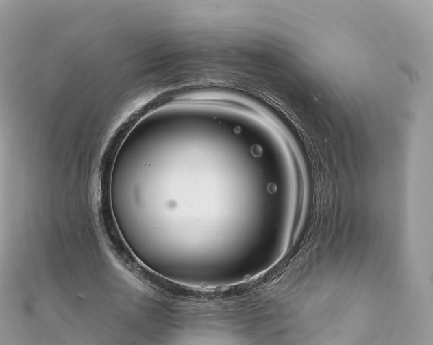 X0000111860726200907301130