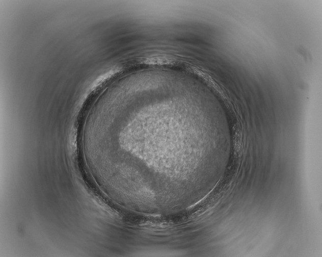 X0000111860727200907301130