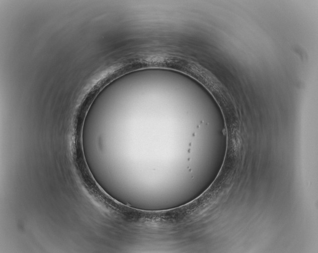 X0000111860728200907301130