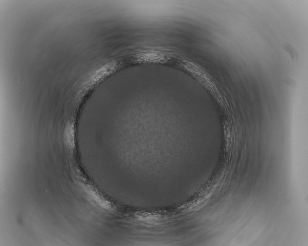 X0000111860729200907301130