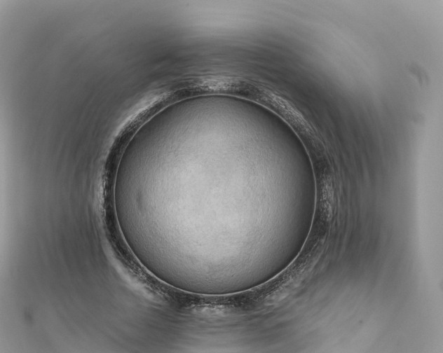 X0000111860730200907301130