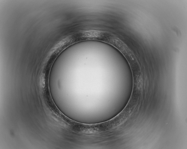 X0000111860731200907301130