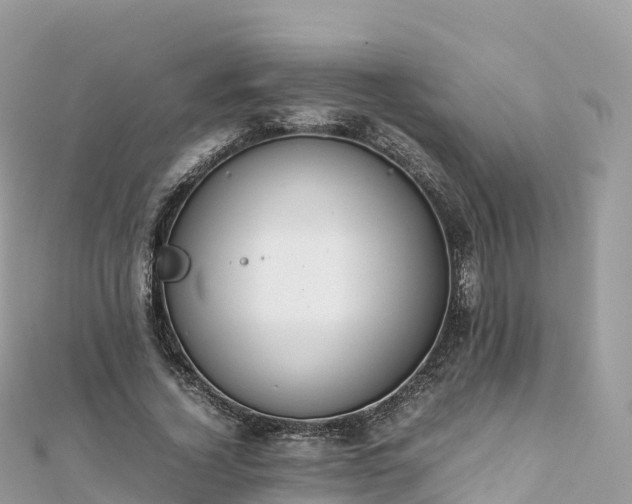 X0000111860732200907301130