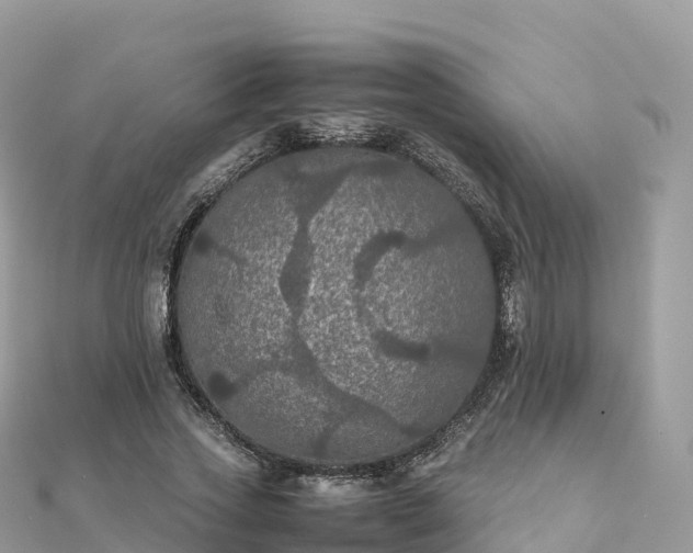 X0000111860733200907301130