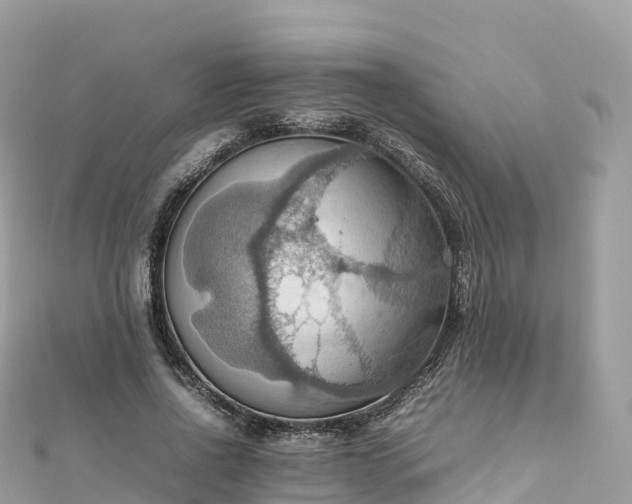 X0000111860734200907301130